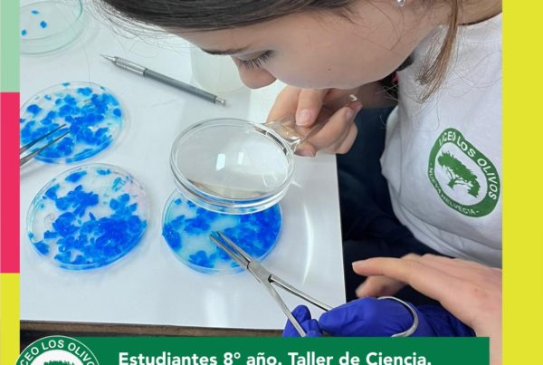 Taller de Ciencias Liceo Los Olivos