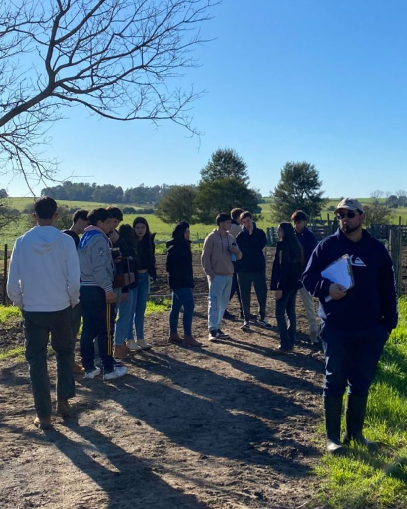 Alumnos de Liceo Los Olivos en el campo